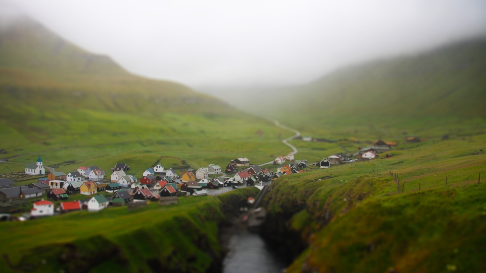 Image_0370
