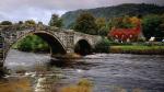 Image_0384