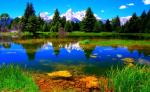 Image_0446