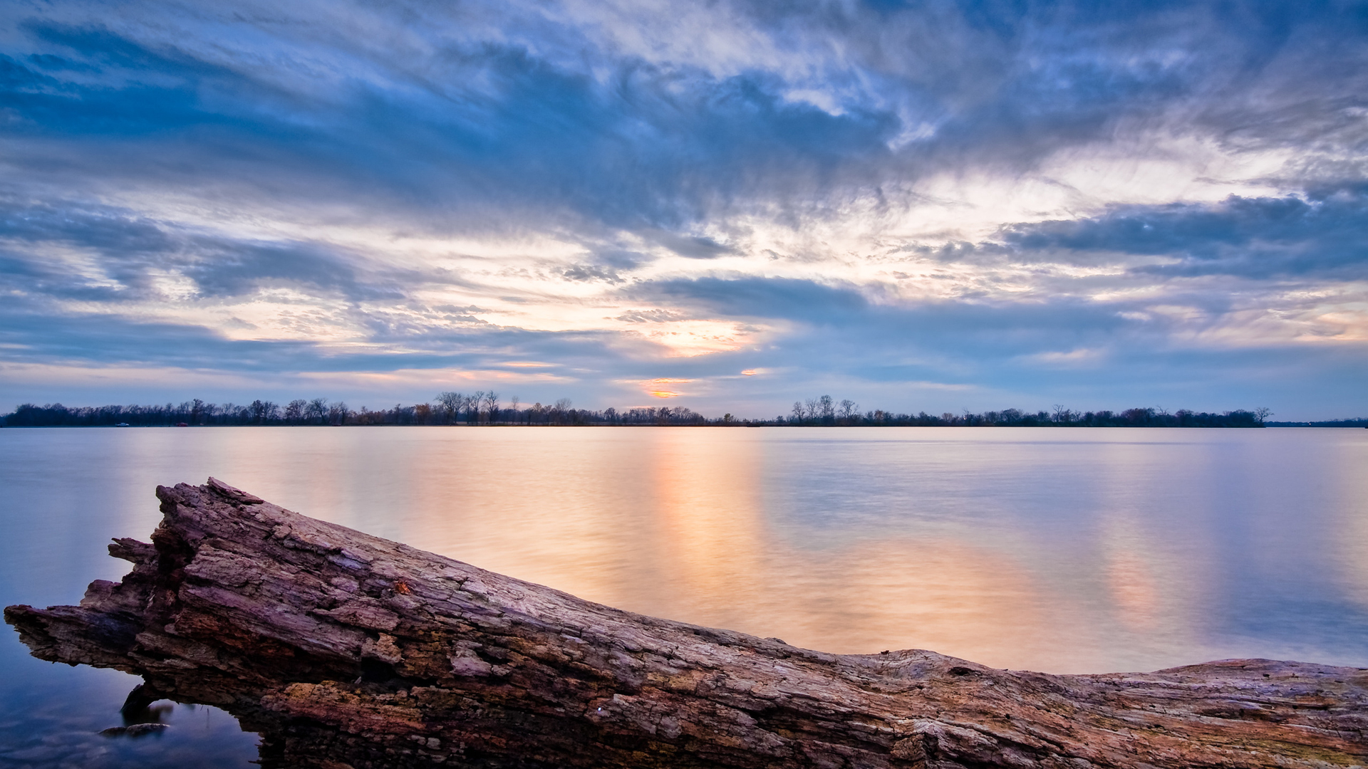 Image_0581
