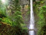 waterfalls_396