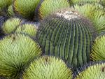 green_045