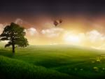 Ballloon_15