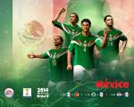 2014-fifa-world-cup_08