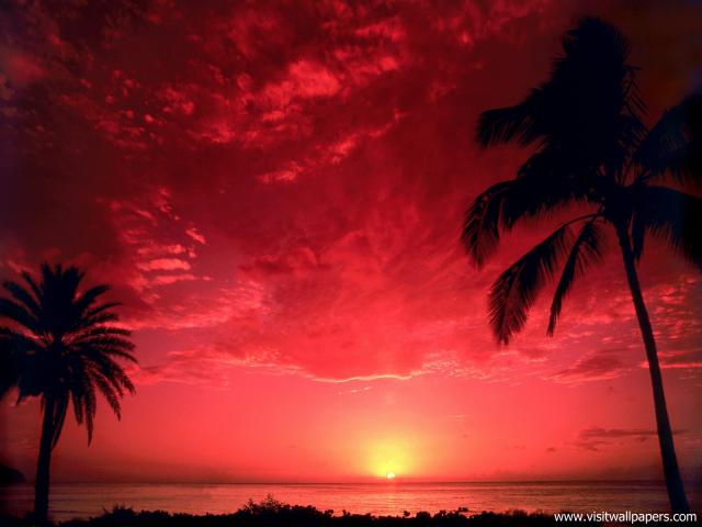 Sunset_041