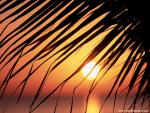 Sunset_047