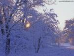 Sunrise_18