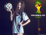 worldcup_2014_012
