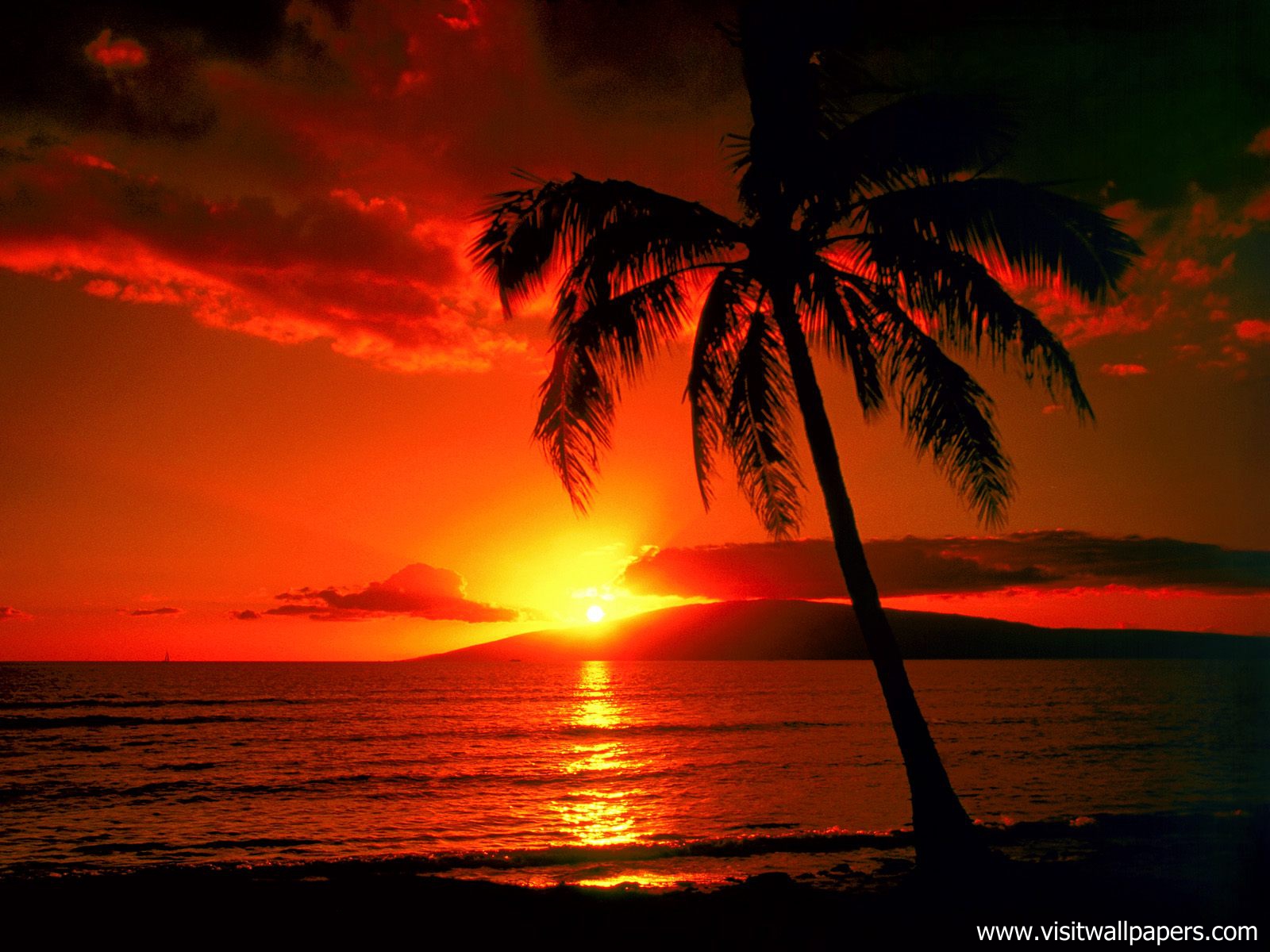 Sunset_080