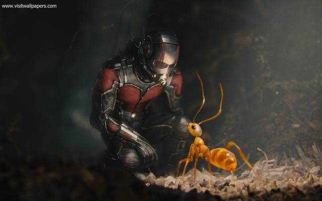 antman_18