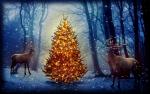 christmas_039