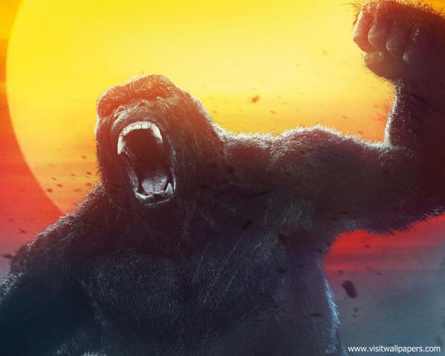 kong_skull_island_08