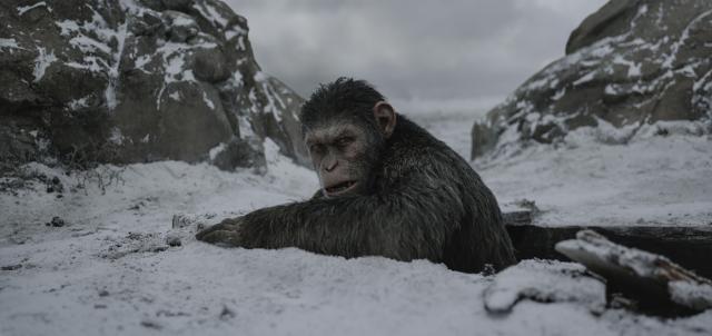 War_for_the_Planet_of_the_Apes_15