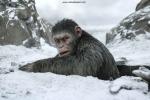 War_for_the_Planet_of_the_Apes_20