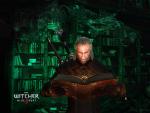 the_witcher3_13