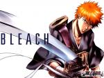 Bleach (manga)