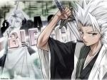 Bleach15