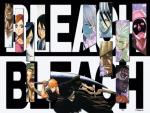 Bleach24