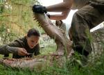 annihilation_02