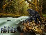 black_panther_22