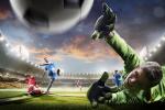 worldcup_2018_47
