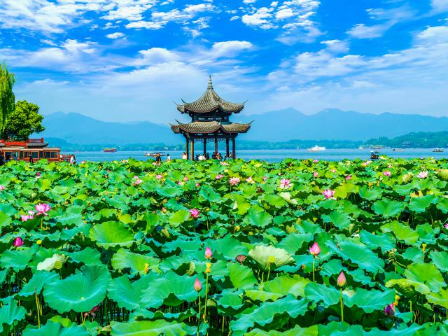 china_389