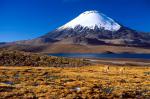 south_america_180