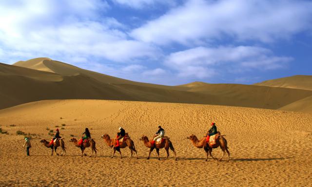 Desert_37