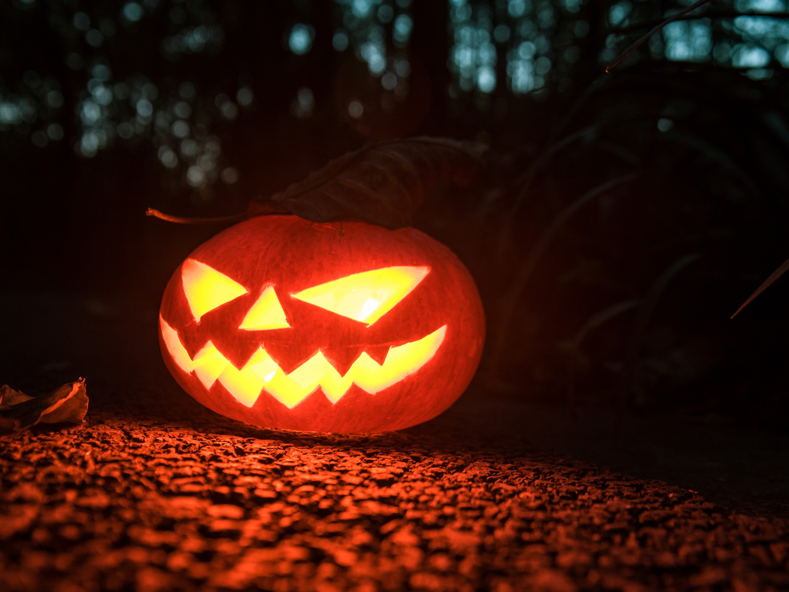 Pumpkin_09