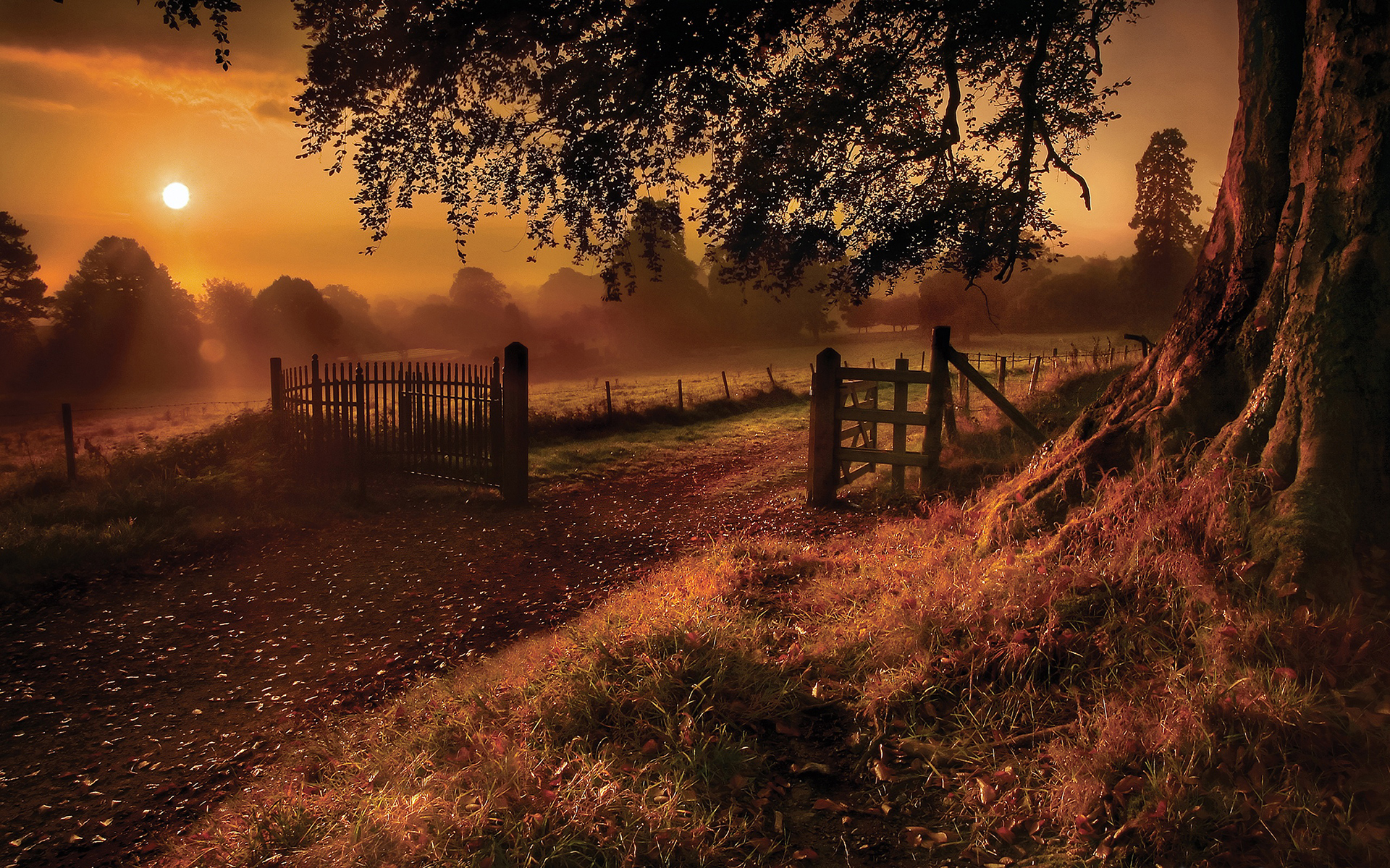 Sunset_228