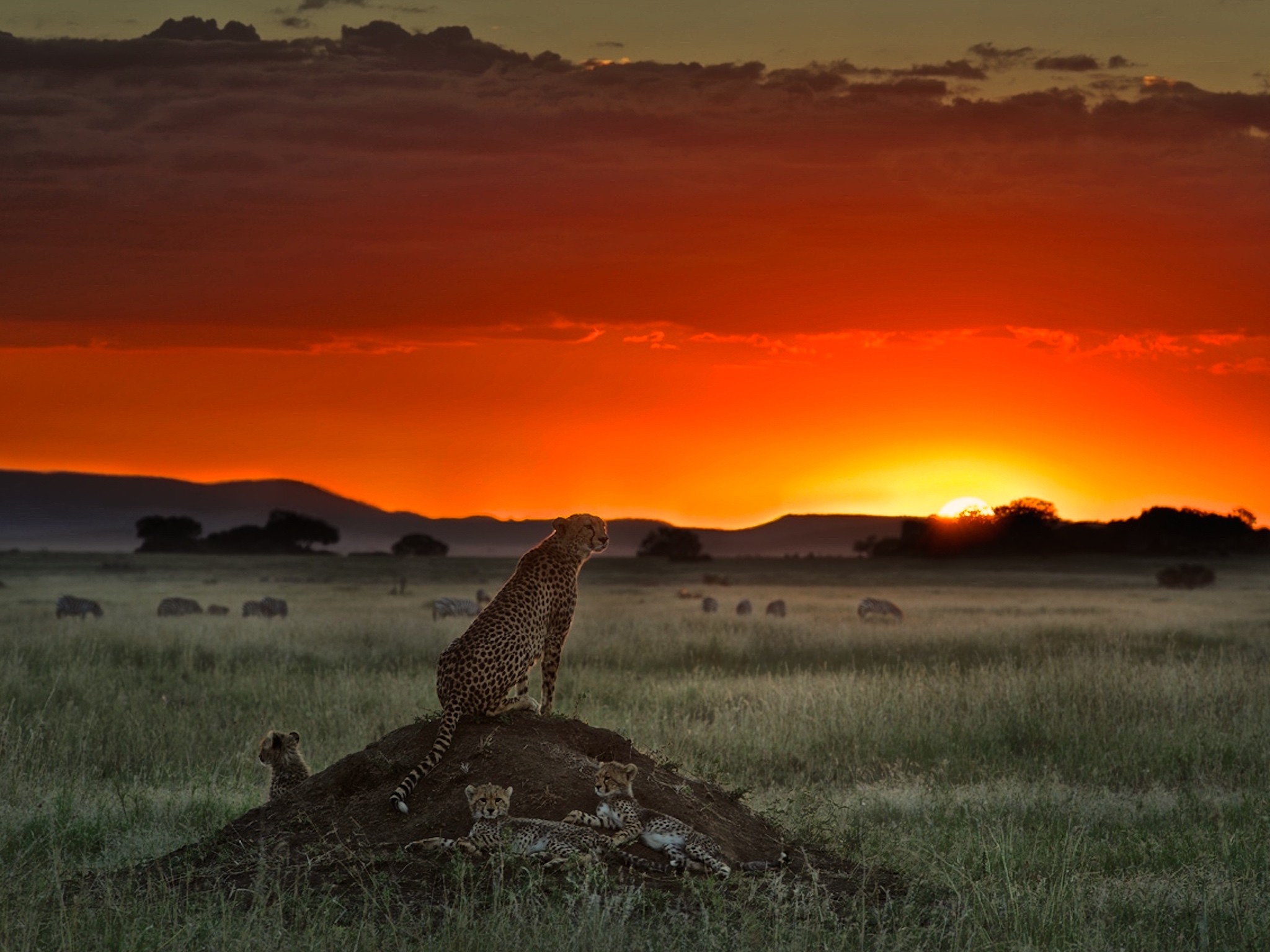 Sunset_239