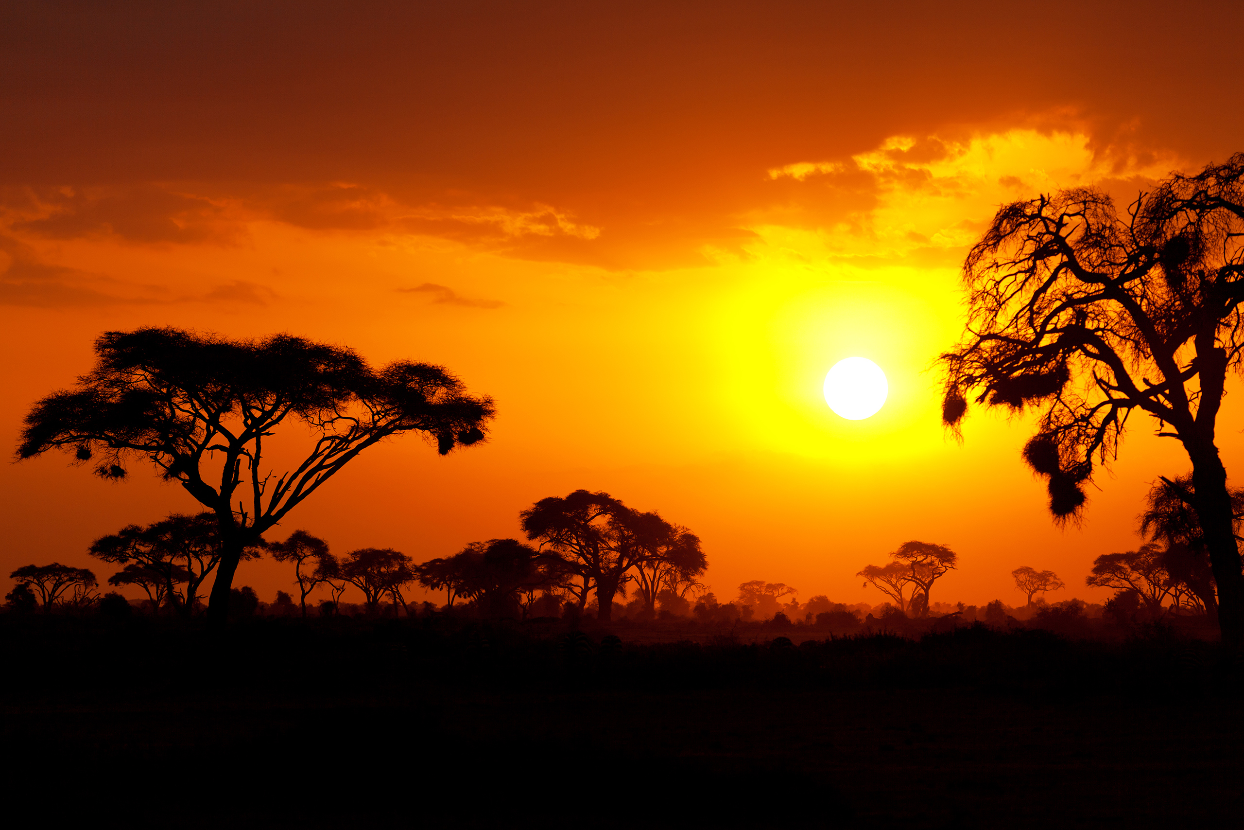 Sunset_245