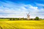 Windmill_34