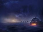 Disney_224