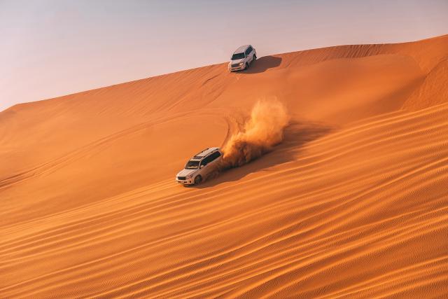 Desert_65