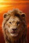 The_Lion_King_01