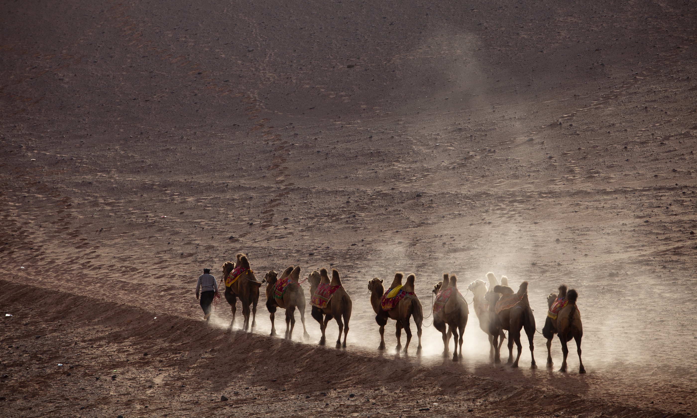 Desert_98