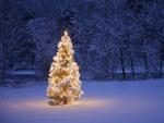 christmas_057