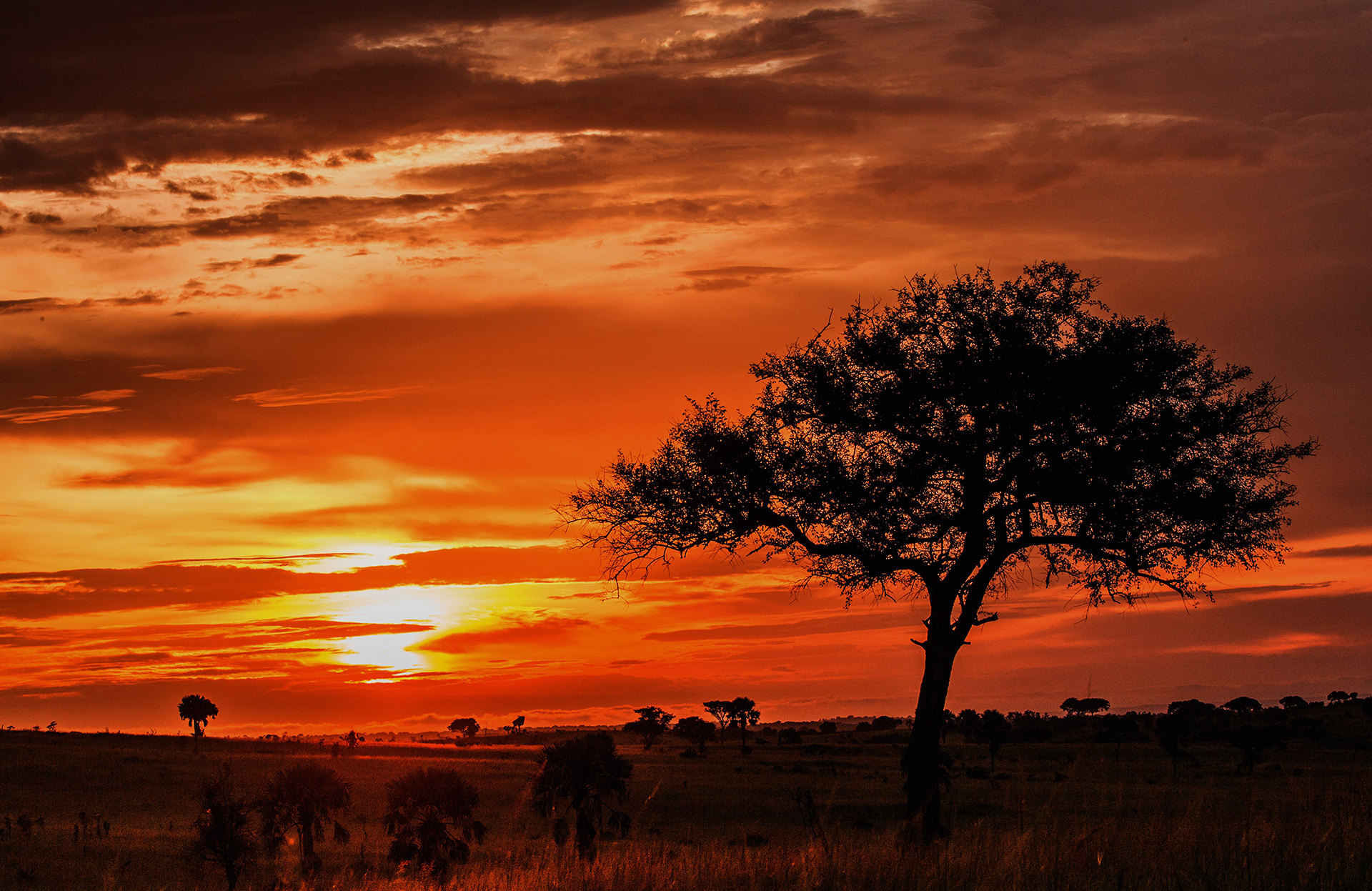 Sunrise_250