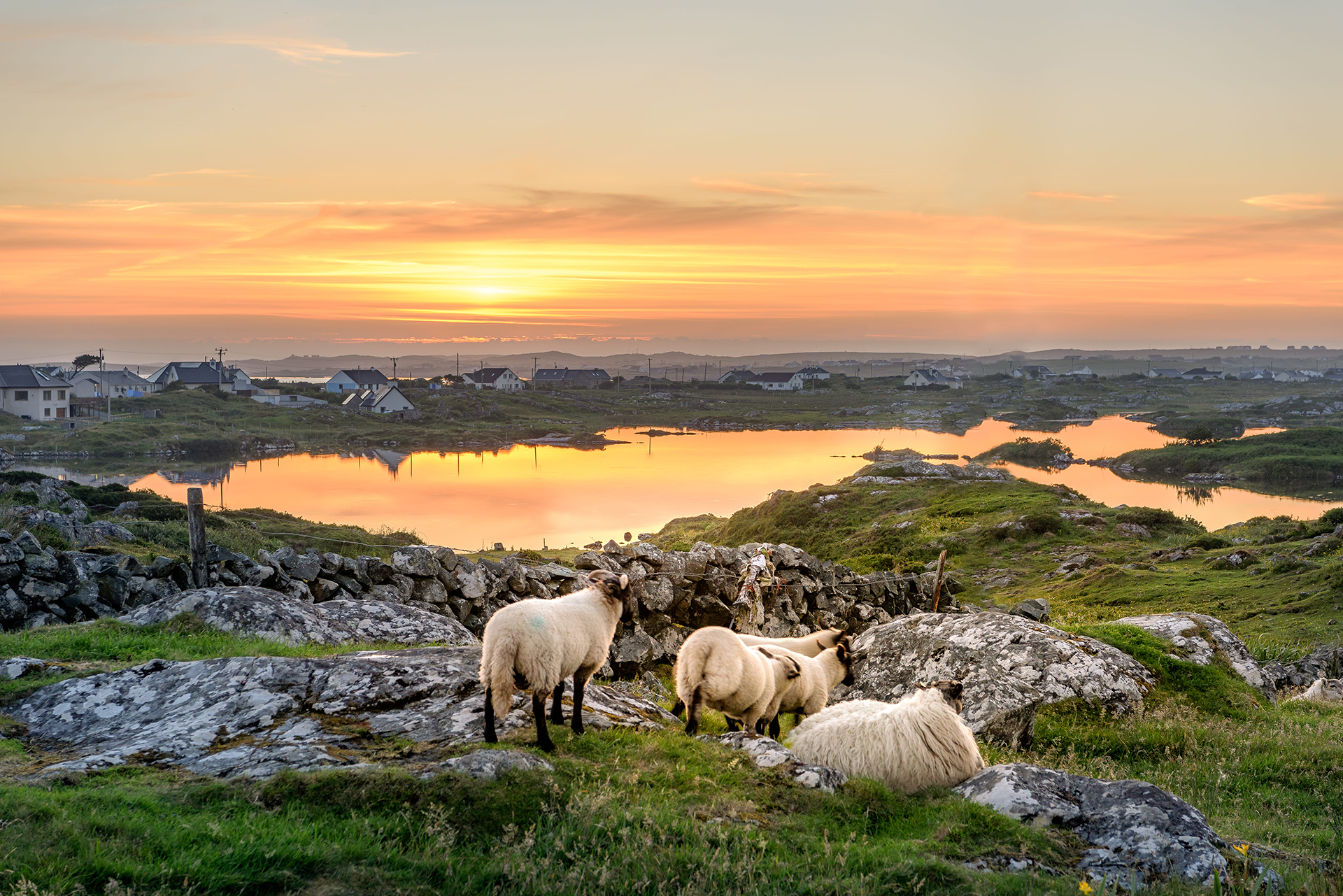 Sunset_838