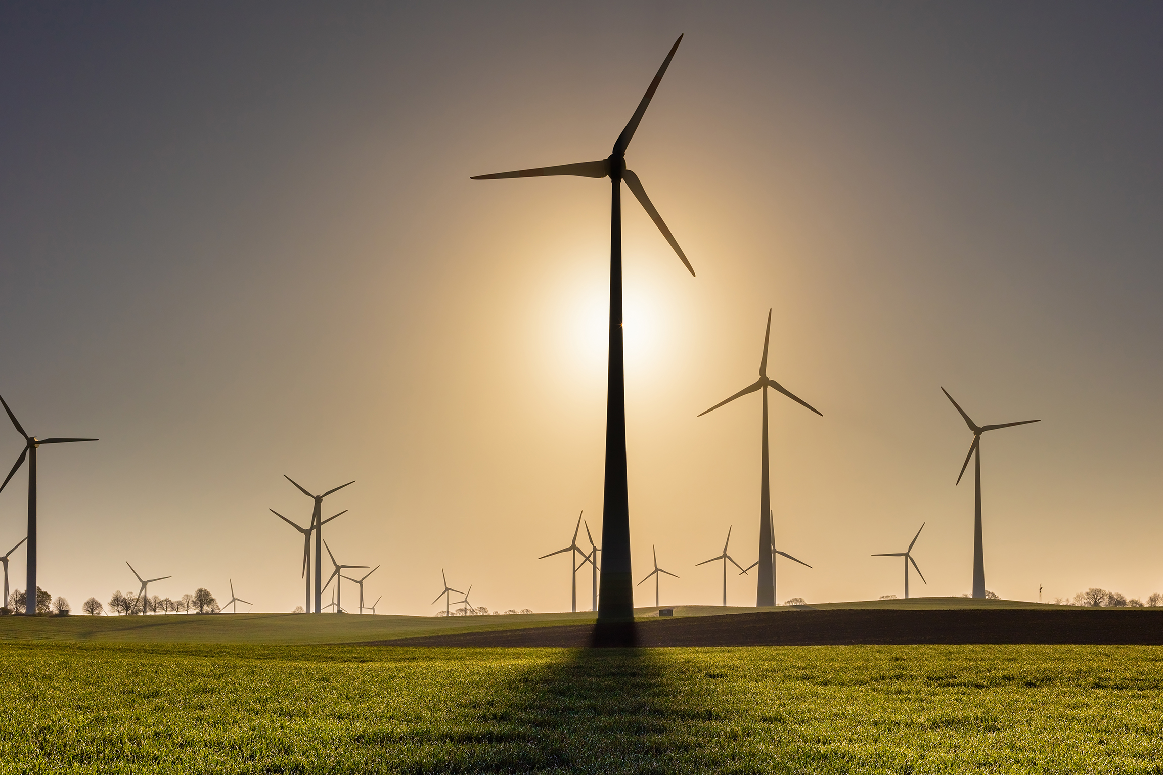 Windmill_51