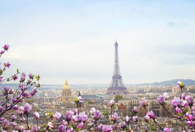 France_156