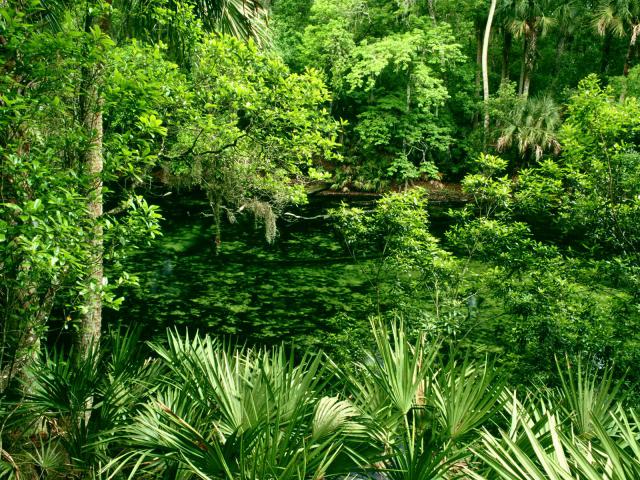 river_006