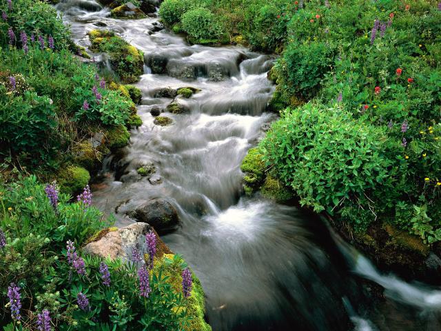 river_037