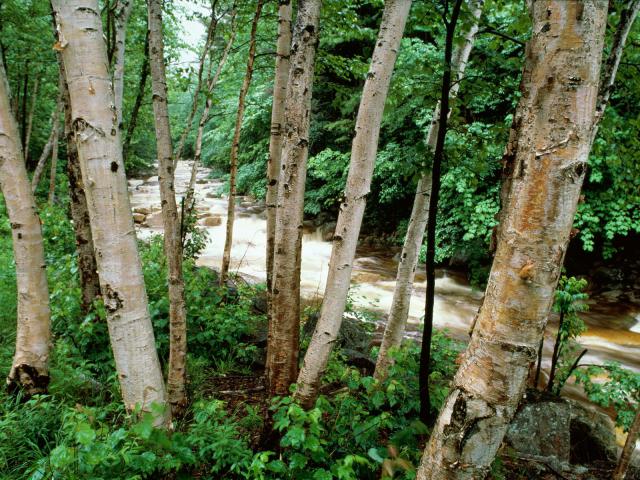 river_044