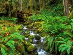 river_048