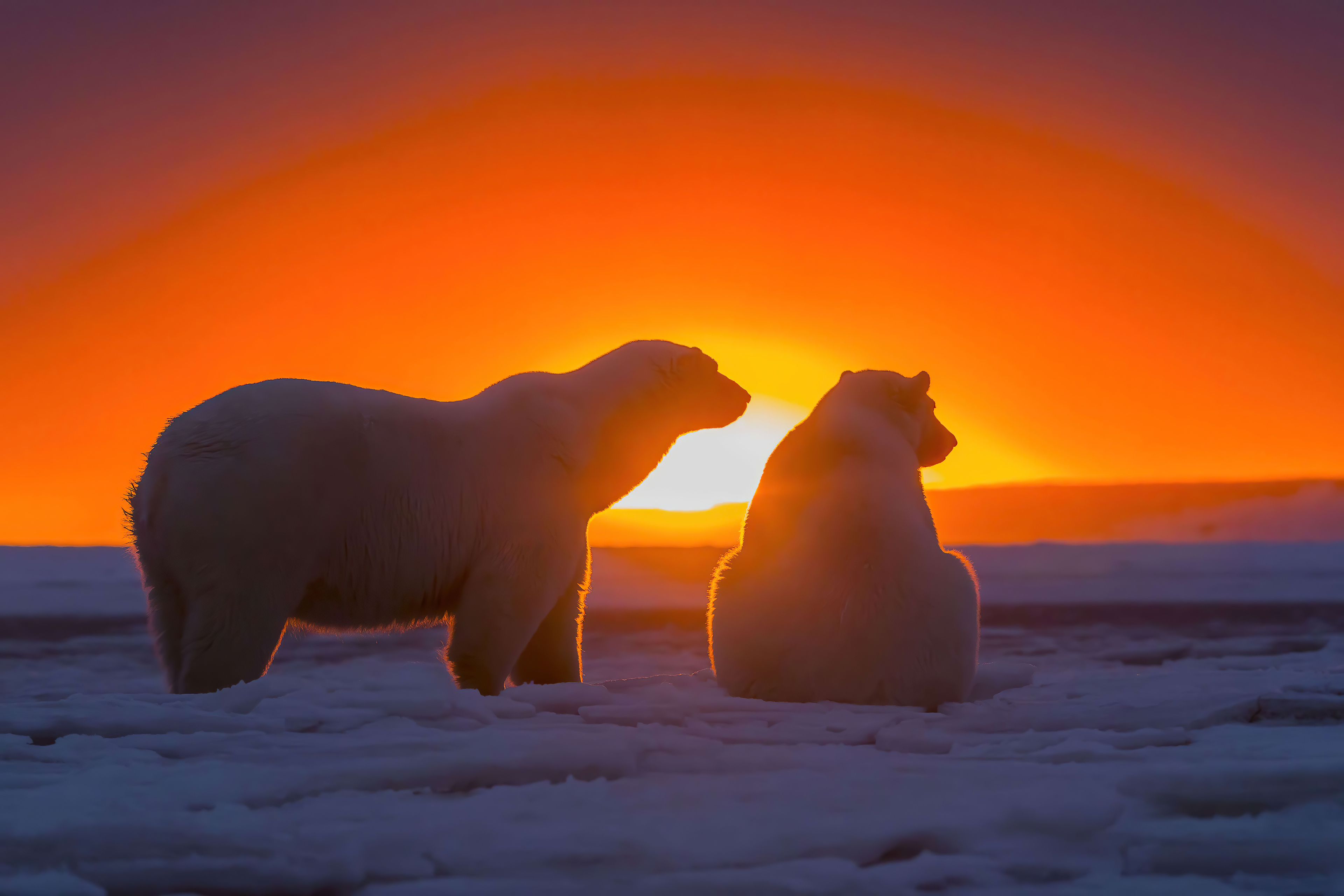 Sunset_1084