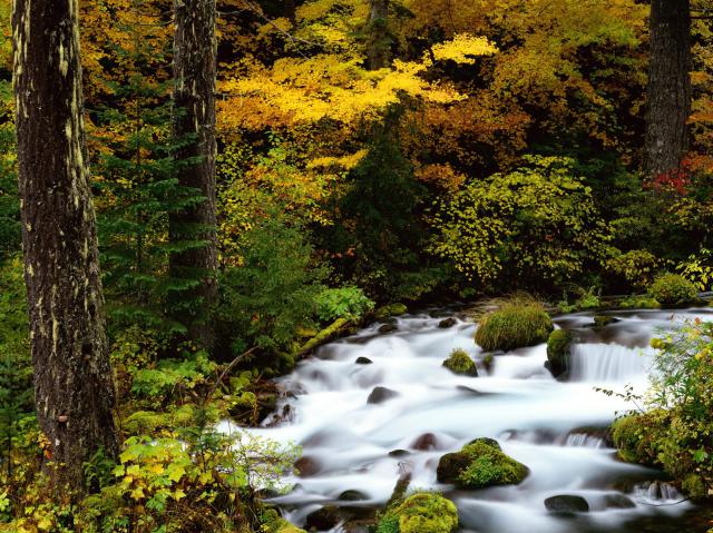 river_057