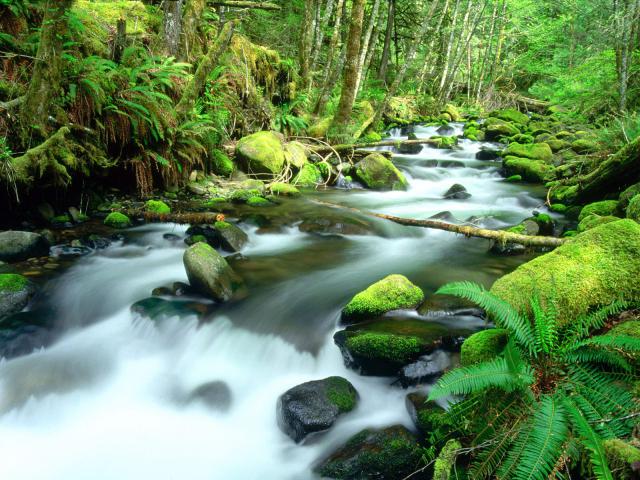 river_060