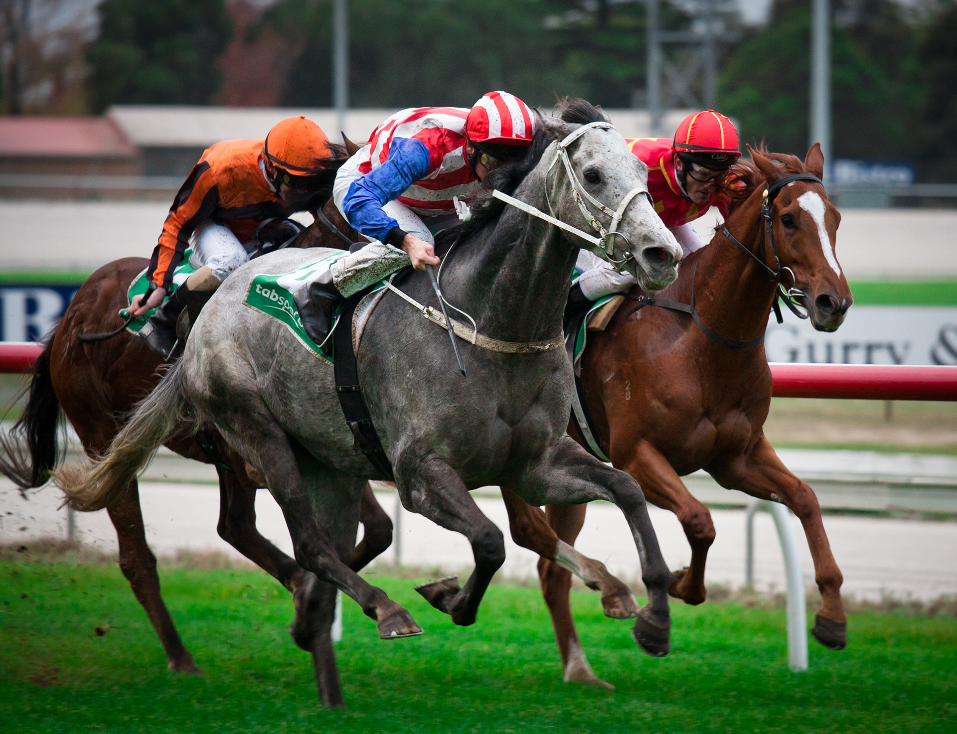 horse_racing_12